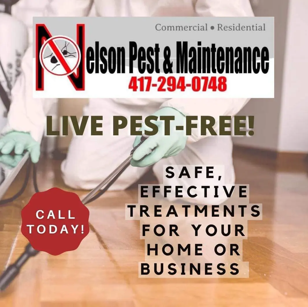 Live Pest-Free! Safe, effective treatments for your home or business.